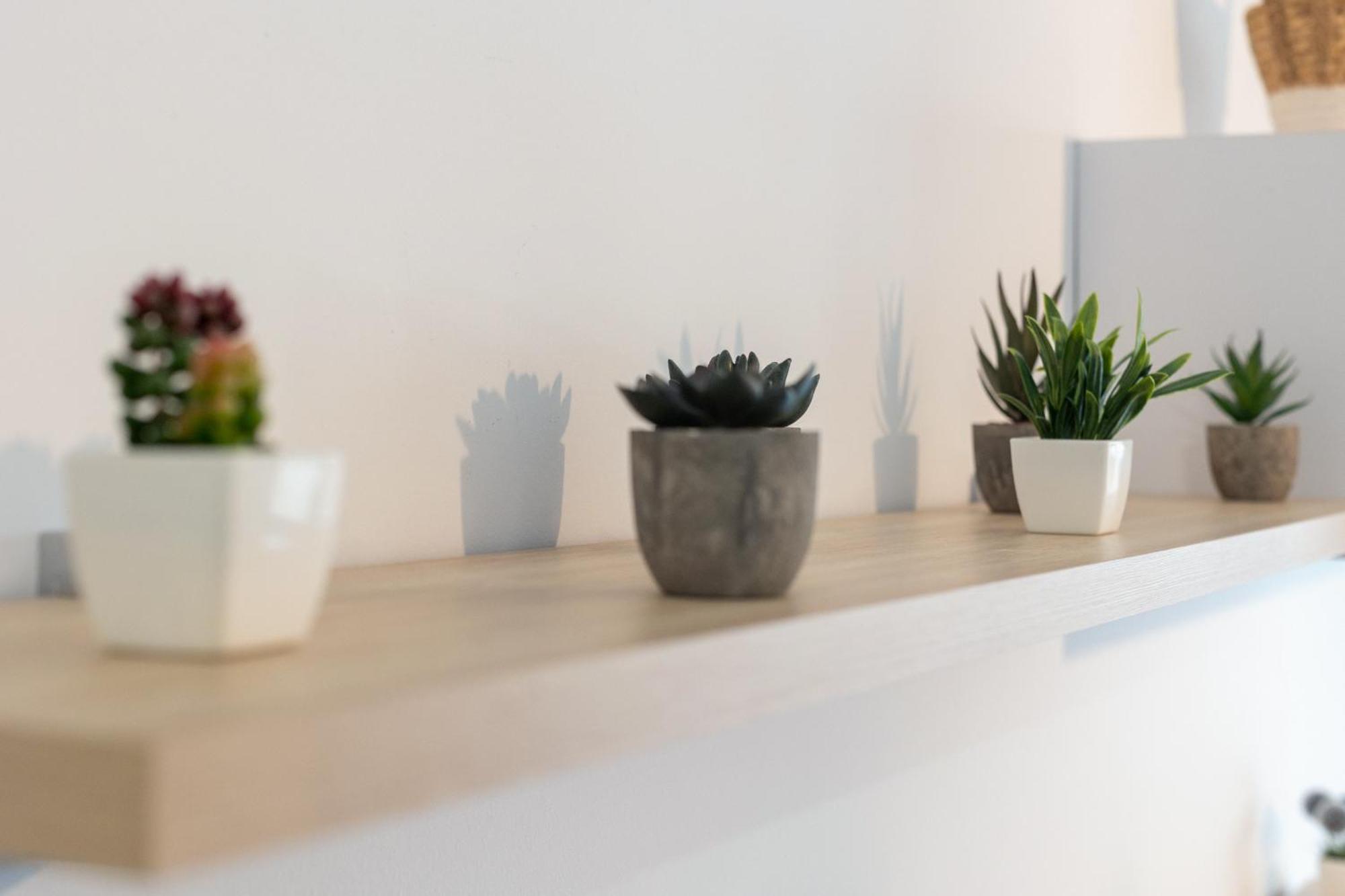 Grace - 3 Bedroom Centre Appartement
